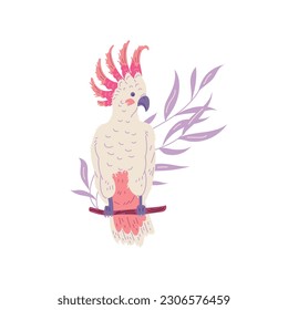 Cockatoo bird sitting on branch Australian animal flat style, vector illustration isolated on white background. Decorative design element, purple leaves, exotic bird