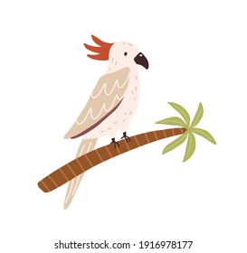 Cockatoo bird sitting on palm tree trunk. Tropical Australian parrot with red crest and long tail. Colored flat vector illustration isolated on white background