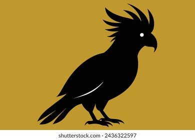 cockatoo bird vector illustration artwork