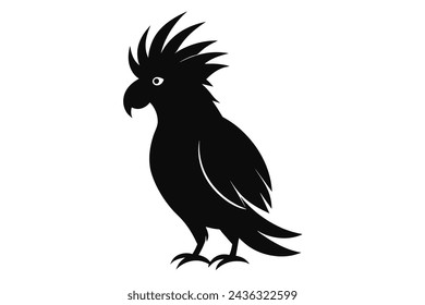 cockatoo bird vector illustration artwork