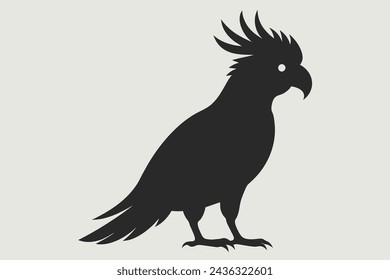 cockatoo bird vector illustration artwork