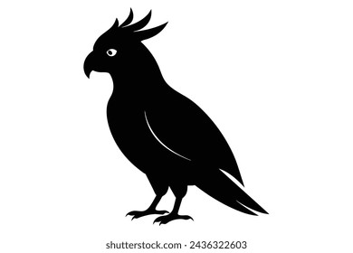 cockatoo bird vector illustration artwork