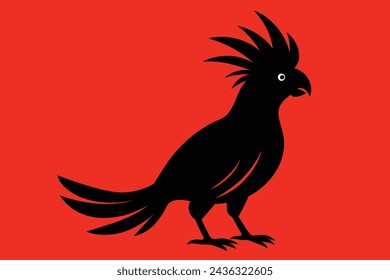 cockatoo bird vector illustration artwork