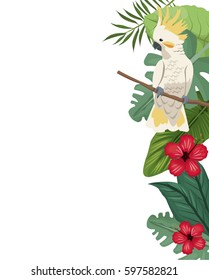 cockatoo card with hibiscus leaves jungle