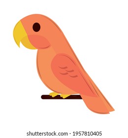 cockatoo cartoon geometric isolated icon
