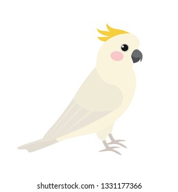 Cockatoo, cute bird. Isolated vector illustration