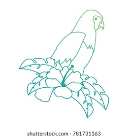 cockatoo exotic bird with flower