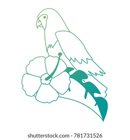 cockatoo exotic bird with flower