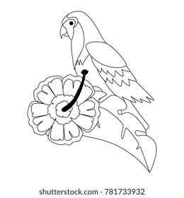 cockatoo exotic bird with flower