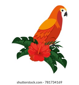 cockatoo exotic bird with flower
