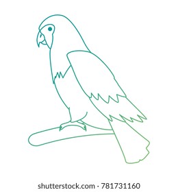 cockatoo exotic bird icon