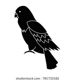 cockatoo exotic bird icon