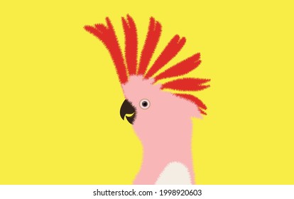 Cockatoo Feathers on the red head Cute fluffy color Cartoon.Vector illustration