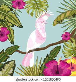 cockatoo with flowers and leaves plants background