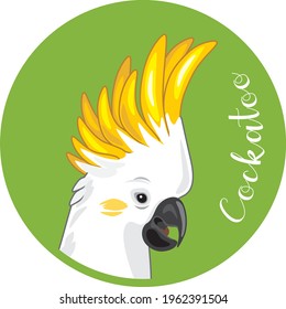Cockatoo head. Sticker for design. Vector