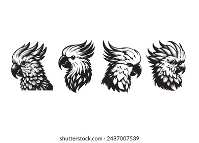 cockatoo head vector silhouette illustration