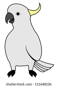 Cockatoo illustration