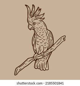 COCKATOO ILLUSTRATION VINTAGE  FOR POSTER STICKER AND TSHIRT DESIGN