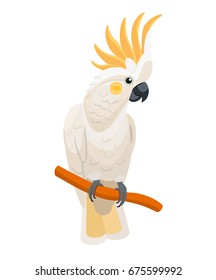 Cockatoo isolated on white background. Vector parrot.