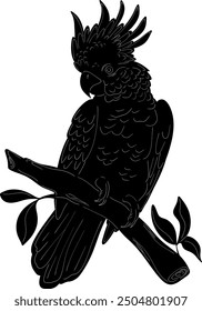 Cockatoo Natural Look Black Vector Silhouette Design Element