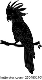 Cockatoo Natural Look Black Vector Silhouette Design Element