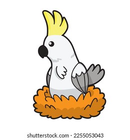 cockatoo in the nest vector art