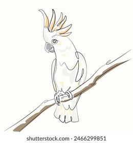 cockatoo on a branch one line drawing. cockatoo on a branch single line illustration. cockatoo on a branch minimalist line art