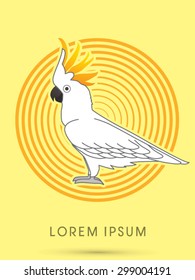 Cockatoo, on circle line background, graphic vector.