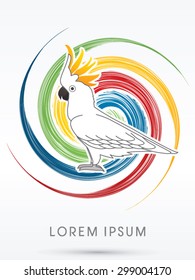 Cockatoo, on spin circle line background, graphic vector.