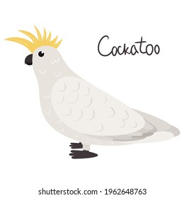 Cockatoo parrot in cartoon style on white background. Vector hand drawn illustration. Cacatuidae parakeet.