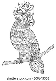 Cockatoo parrot coloring book for adults vector illustration. Anti-stress coloring for adult. Tattoo stencil. Zentangle style. Black and white lines. Lace pattern