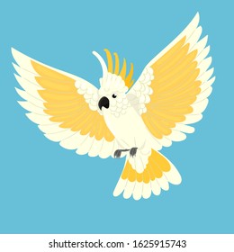 Cockatoo parrot in flight on a blue background. Vector graphics.