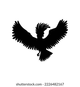 Cockatoo parrot flying with wings spread black outline silhouette, vector illustration isolated on white background. Parrot bird black shadow and monochrome symbol.