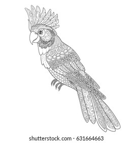 Cockatoo parrot hand drawing vector illustration for page adult coloring book with doodle ornament.