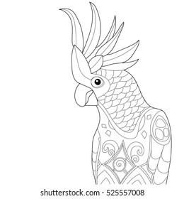 Cockatoo parrot, isolated on white background. For coloring book