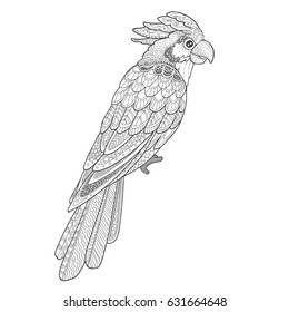 Cockatoo parrot line contour with doodle ornament for adult coloring book.