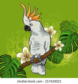 Cockatoo parrot on a branch with flowers. Vector illustration