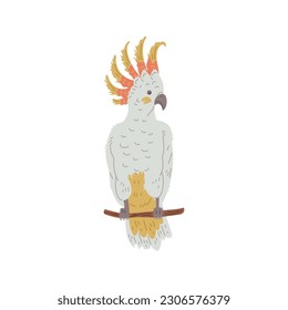 Cockatoo parrot on branch, hand drawn flat vector illustration isolated on white background. Exotic Australian animal. Bird with yellow crest. Concepts of kids education and ornithology.
