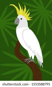 Cockatoo parrot on tropical leaf background, vector illustration