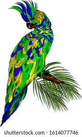 cockatoo parrot with palm leaves