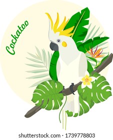 Cockatoo parrot in palm leaves and monstera
