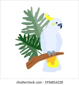 Cockatoo parrot sits on a branch with tropical leaves. vector cartoon flat illustration isolated on white background