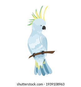 A cockatoo parrot sits on a branch. A white tropical parrot sits on a branch. An element of summer design.
