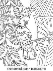 Cockatoo parrot sitting on a branch in tropical rainforest. Page of coloring book. Vector illustration.