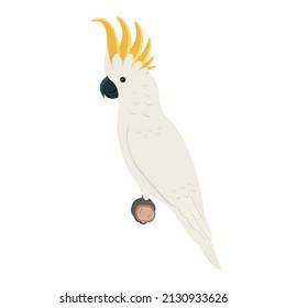 Cockatoo parrot sitting on a branch. Vector illustration of an exotic cockatoo parrot sitting on a branch isolated on a white background. Side view, profile.