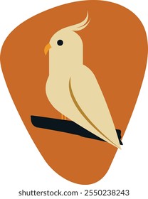 Cockatoo Parrot vector illustration cute parrot