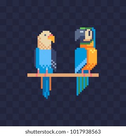 Cockatoo parrots sit on a branch. Bird's store logo. Parrot icon pixel art isolated vector illustration. Used for embroidery, sticker and mobile app. Tropical birds.