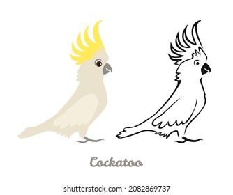 Cockatoo set. Black and white silhouette of Australian bird and color flat illustration. Parrot vector icons.