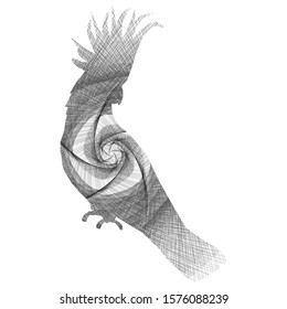 A Cockatoo silhouette with a geometric pattern