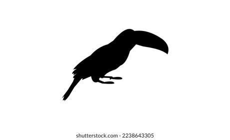Cockatoo silhouette high quality vector 